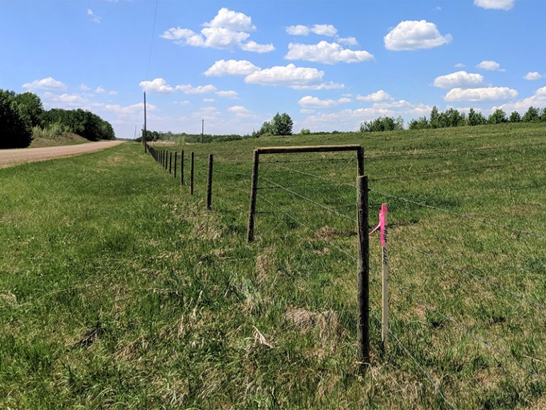 Property Boundaries Hagen Surveys